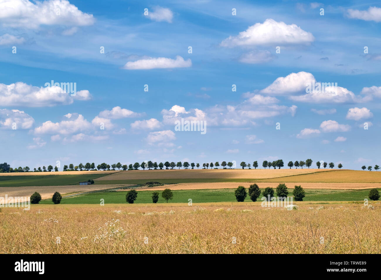 scenic landscape against blue sky Stock Photo