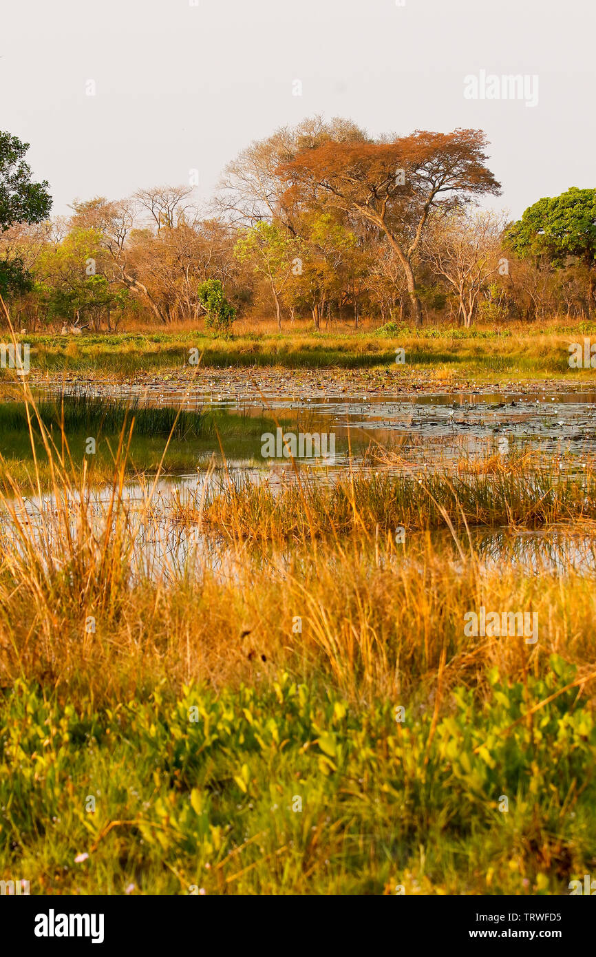 Lake in Kafue National Park. Zambia Stock Photo