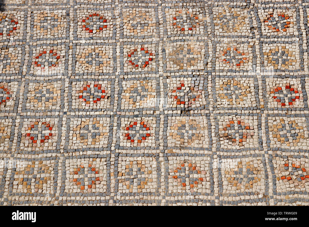 Colorful mosaic floor with symmetrical patterns in one of the houses of the ancient roman city Volubilis, Morocco. Stock Photo