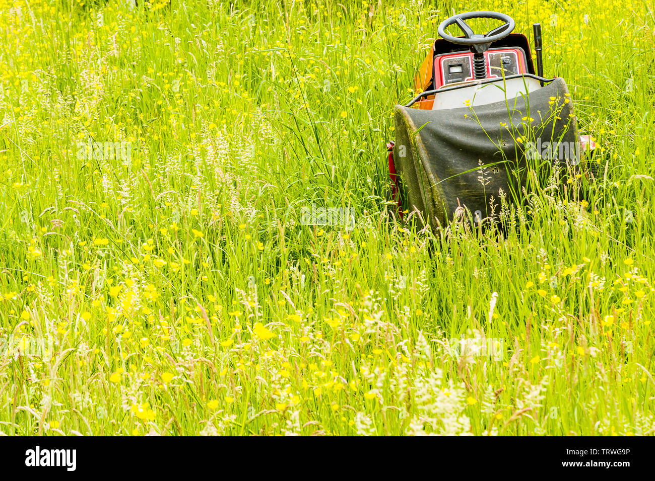 A forgotten and abandoned lawn mower left in long grass in a field. Stock Photo