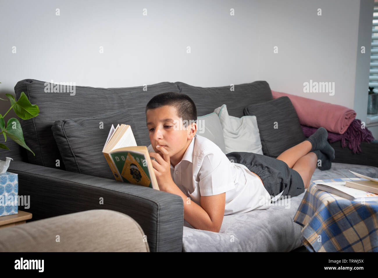 UK, Surrey- young boy 11 years old, in school uniform reading a library book at home Stock Photo