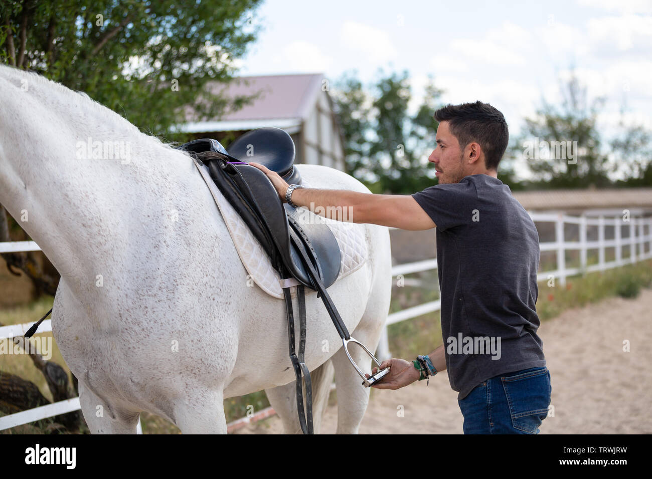 Side view of young guy putting black saddle on back of white horse while standing in paddock on ranch Stock Photo