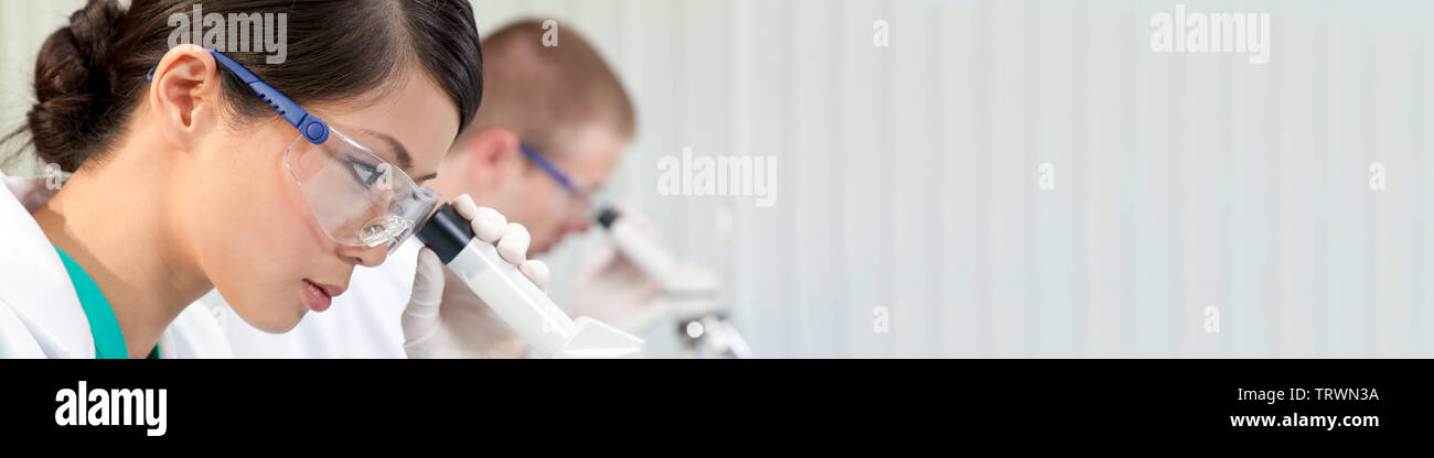 Panoramic web banner of Chinese Asian female woman scientist researcher or doctor using a microscope in a medical research lab or laboratory Stock Photo