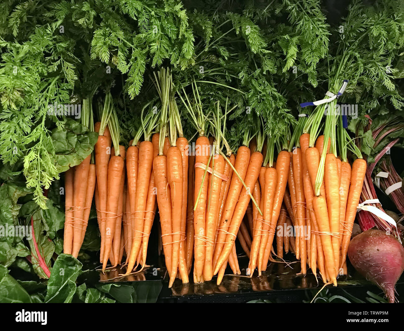 Organic carrots in market shelf Stock Photo
