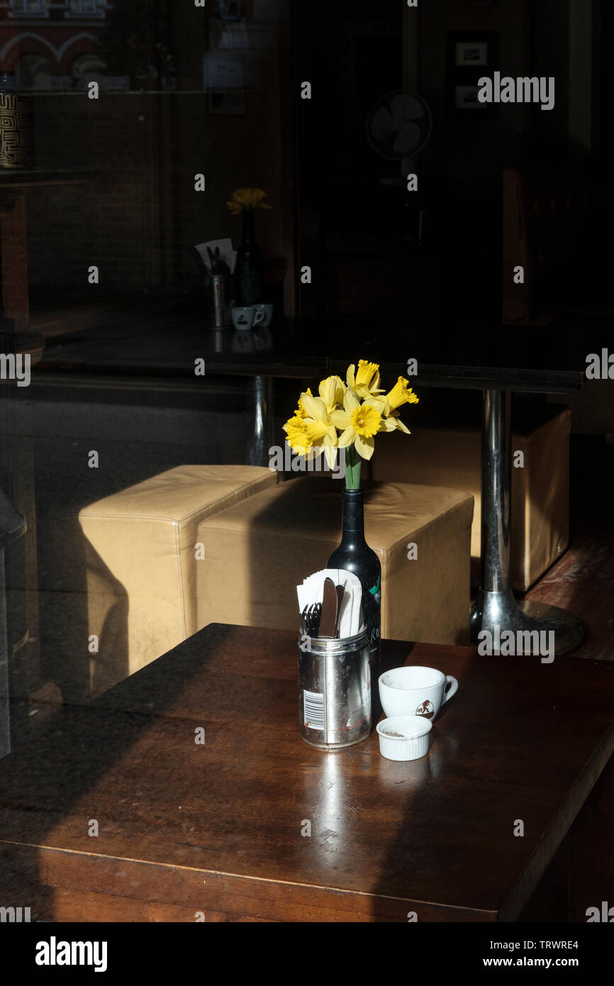 Daffodils-Narcissus- on pub table Stock Photo