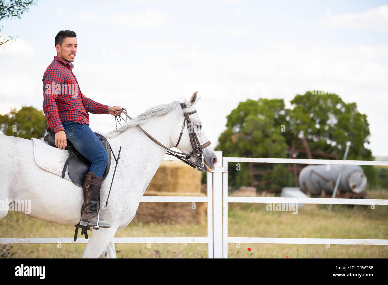 Young guy in casual outfit riding white horse on sandy ground in enclosure on ranch Stock Photo