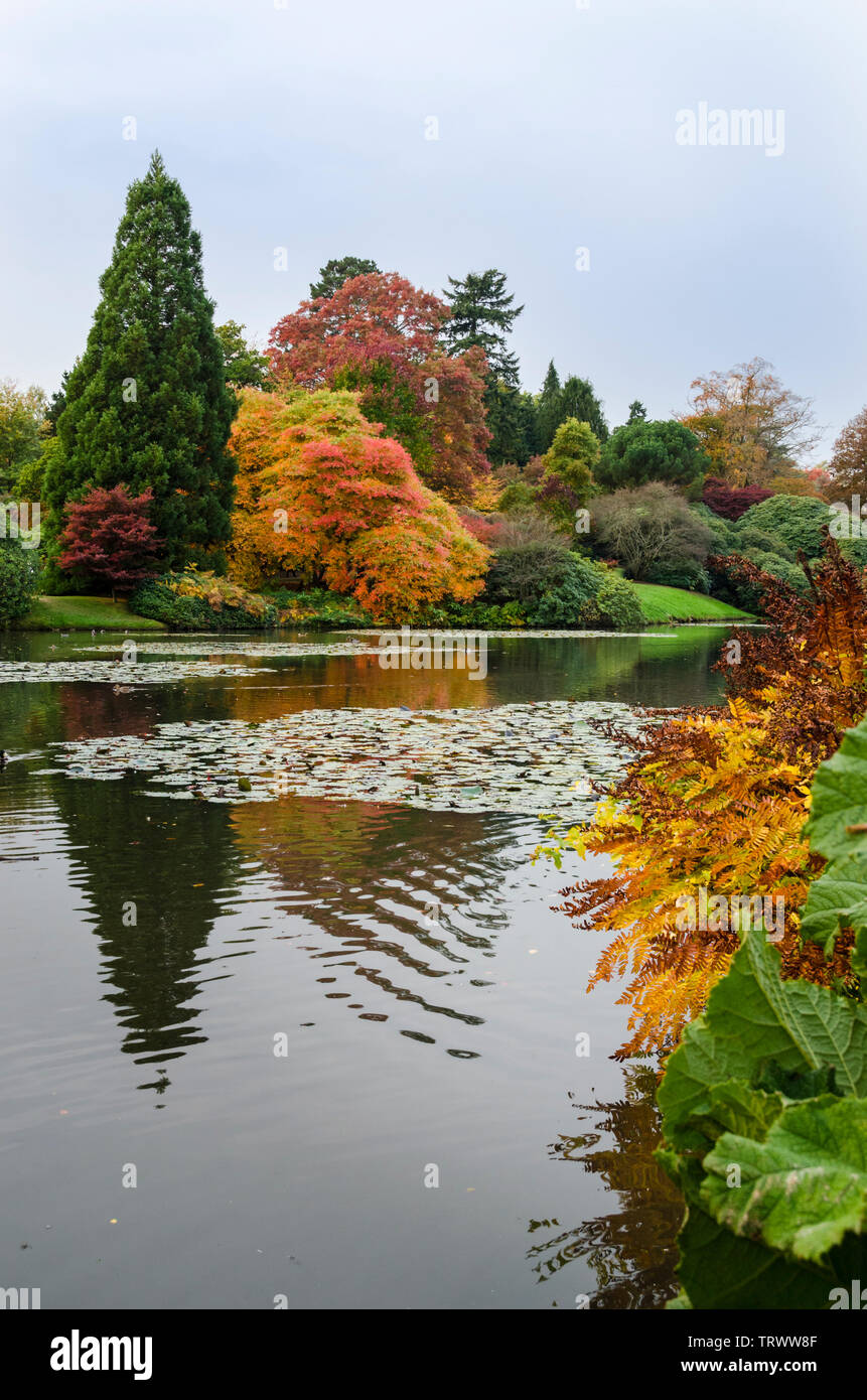 Sheffield Park lake and gardens in Autumn, East Sussex, UK Stock Photo