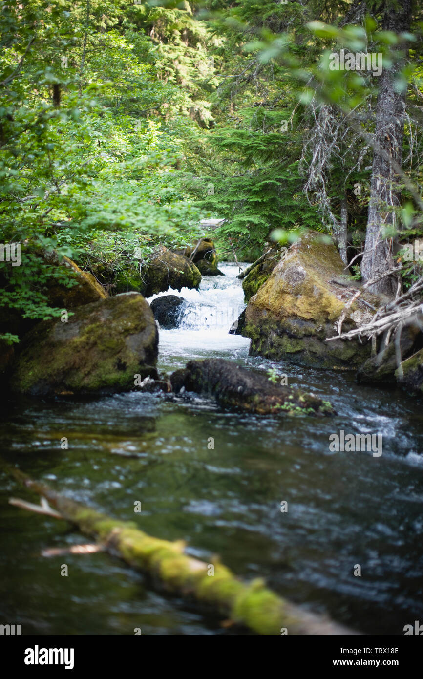 Stream flowing rocks plants day hi-res stock photography and images - Alamy