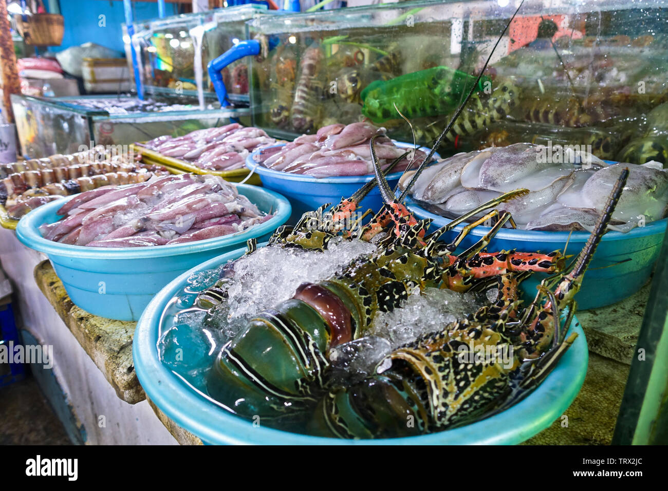 Lobsters, squid, cuttlefish and mantis shrimp are some of the items from Dampa, How you like them done depends on the choice of restaurant. Stock Photo