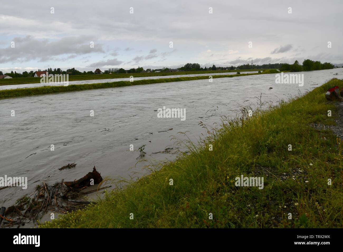 under water - flood and high water  of the Rhein at Fussach, Austria, at the lake of Constance Stock Photo