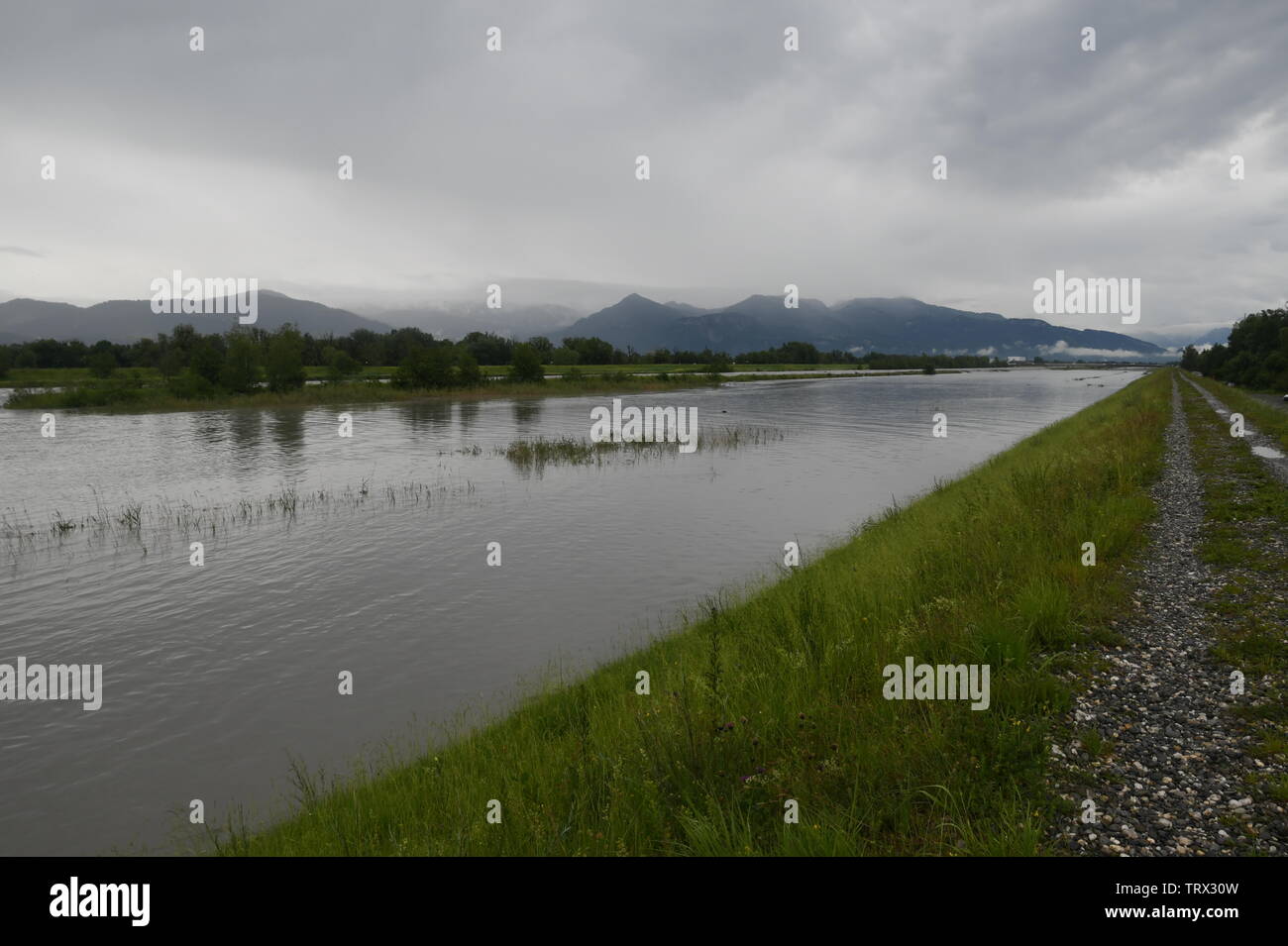 flood and high water  of the Rhein at Fussach, Austria, at the lake of Constance Stock Photo