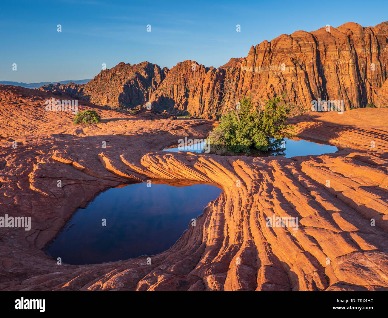 Water-filled pothole, Petrified Dunes, Snow Canyon State Park near Saint George, Utah. Stock Photo