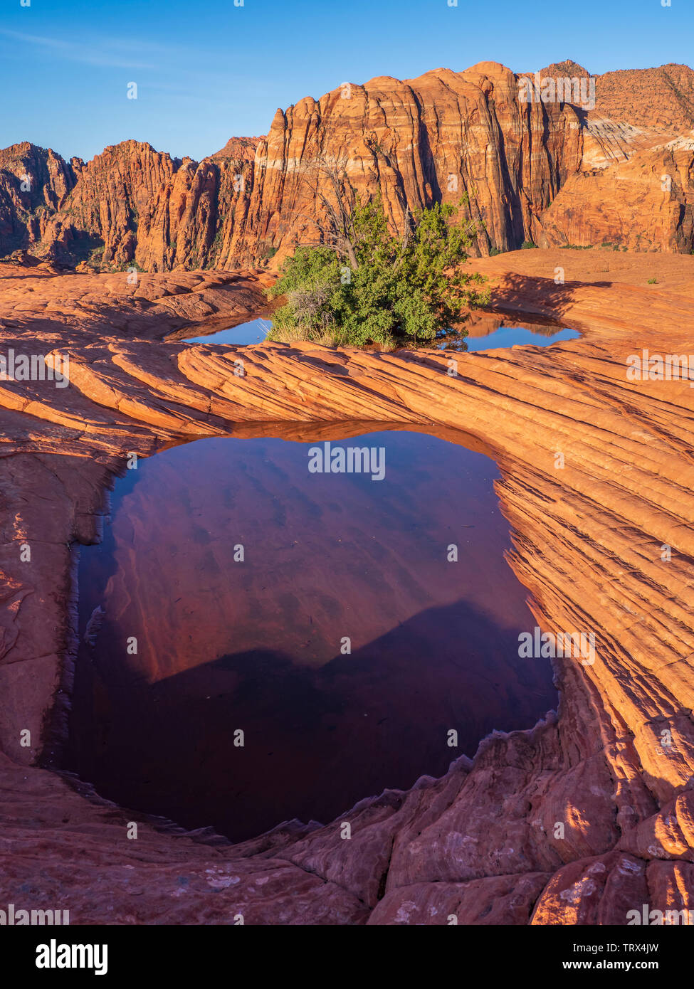 Water-filled pothole, Petrified Dunes, Snow Canyon State Park near Saint George, Utah. Stock Photo
