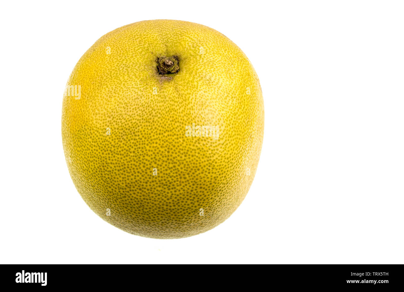 The pomelo fruit, Citrus maxima, is the largest citrus (15-25cm in diameter) fruit of the Rutaceae family, typically from pale green to yellow and swe Stock Photo