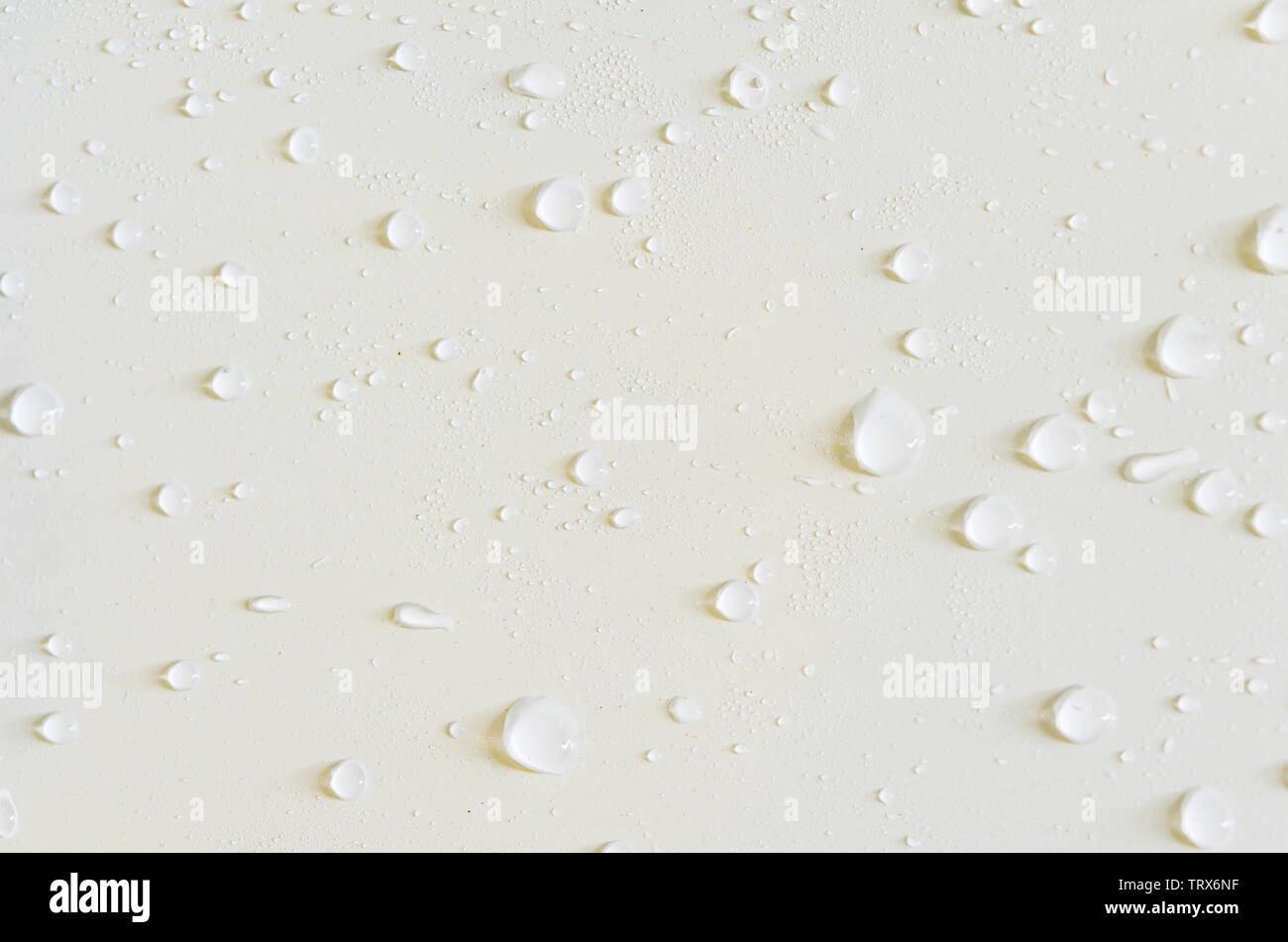 Water drops on a white background Stock Photo - Alamy