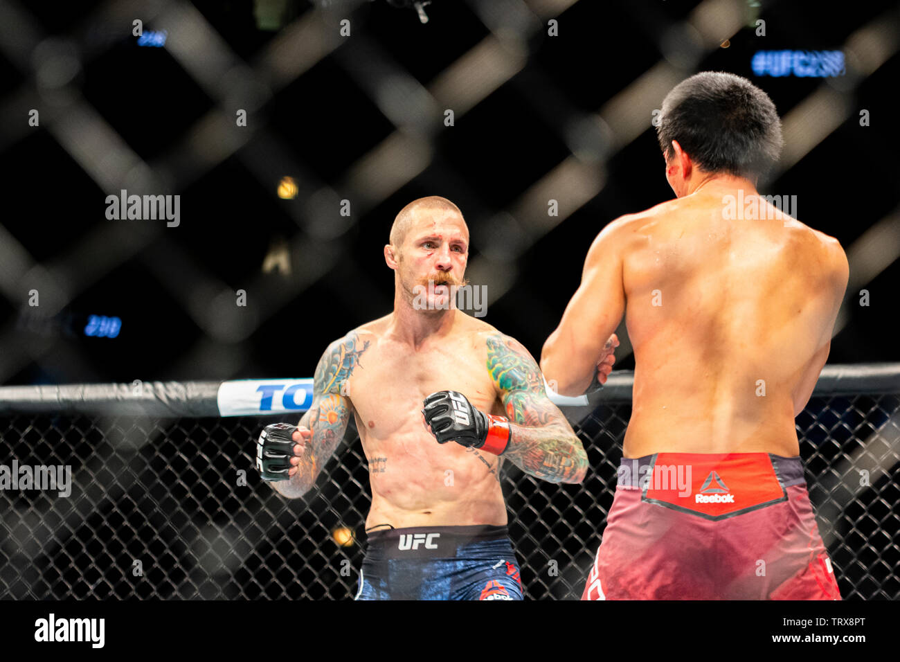 Ultimate fighting championship event hi-res stock photography and ...