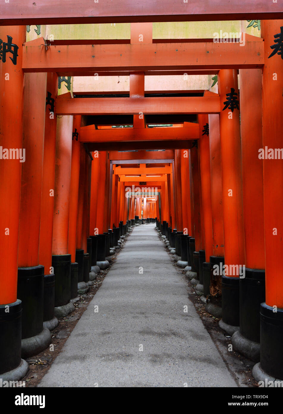 Red Tori Gate at Fushimi Inari Shrine in Kyoto, Japan. Stock Photo