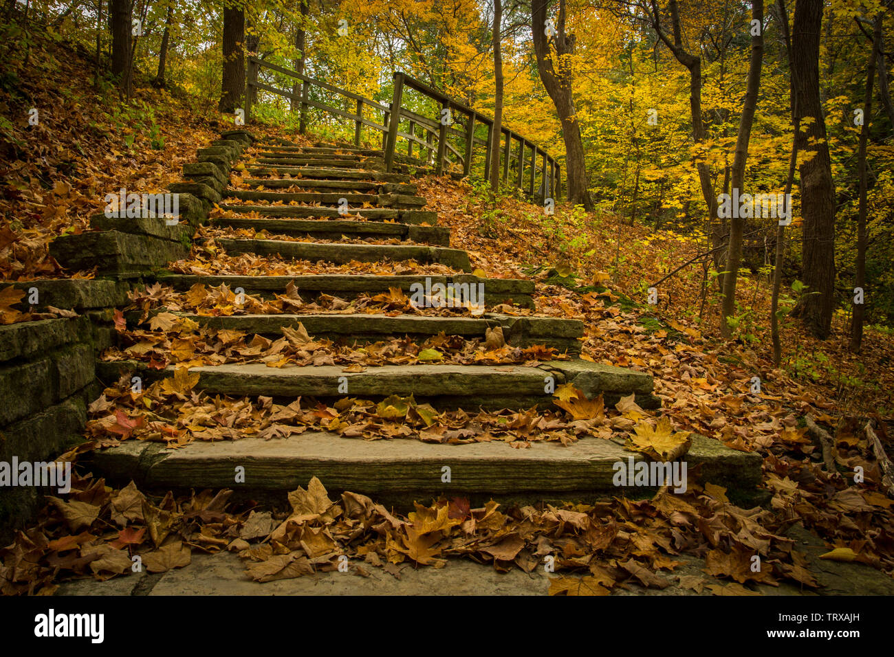 Fall Autumn Scene with colorful leaves on a stairway leading up to a bridge Stock Photo