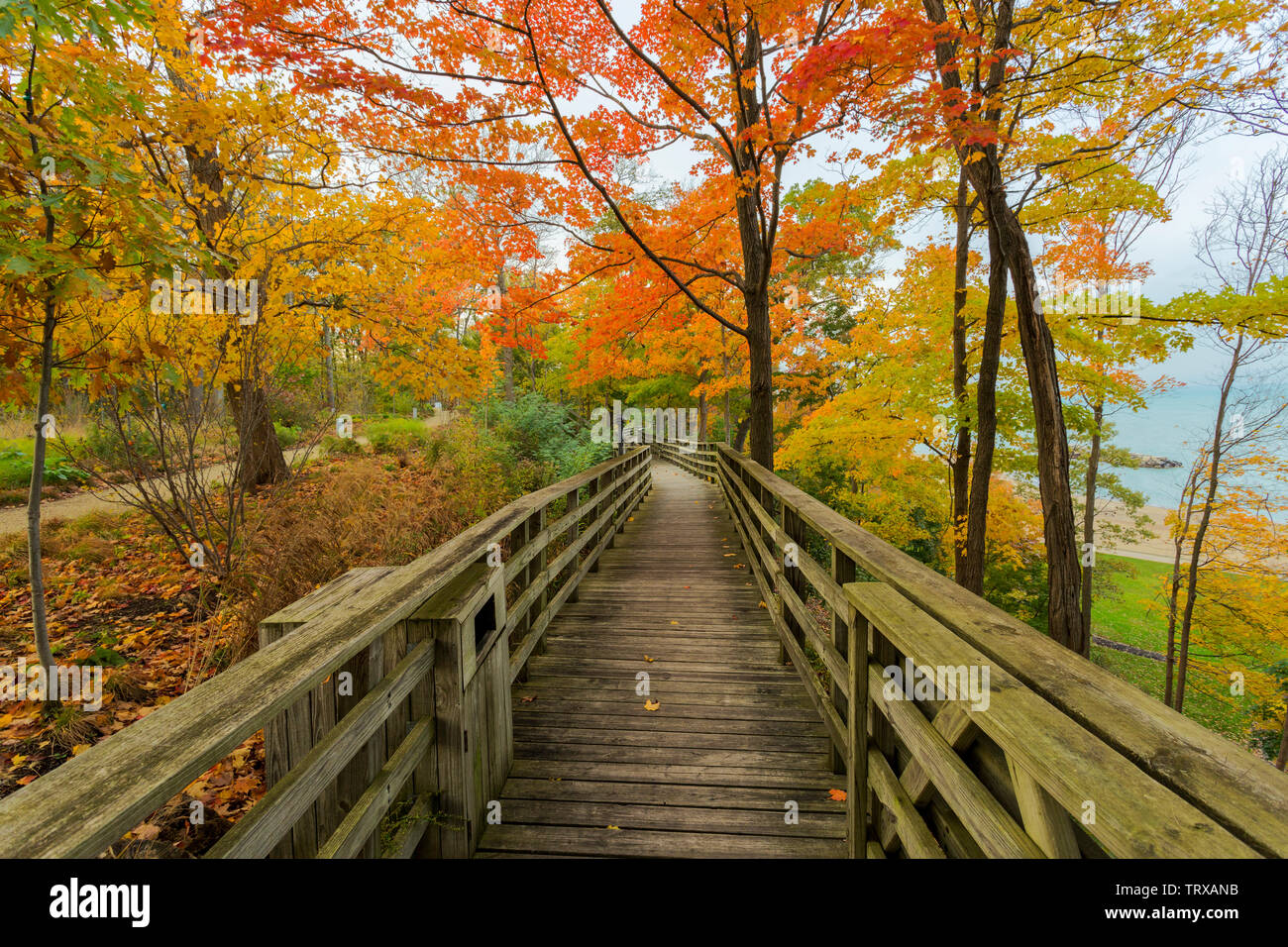 Fall Autumn Scene with colorful leaves on a stairway leading up to a bridge Stock Photo