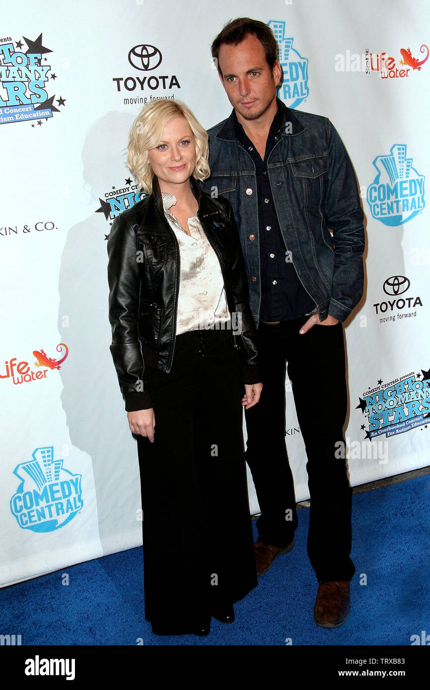 New York, USA. 13 April, 2008. Amy Poehler, Will Arnett at Comedy Central's Night of Too Many Stars hosted by Jon Stewart at The Beacon Theater. Credit: Steve Mack/Alamy Stock Photo
