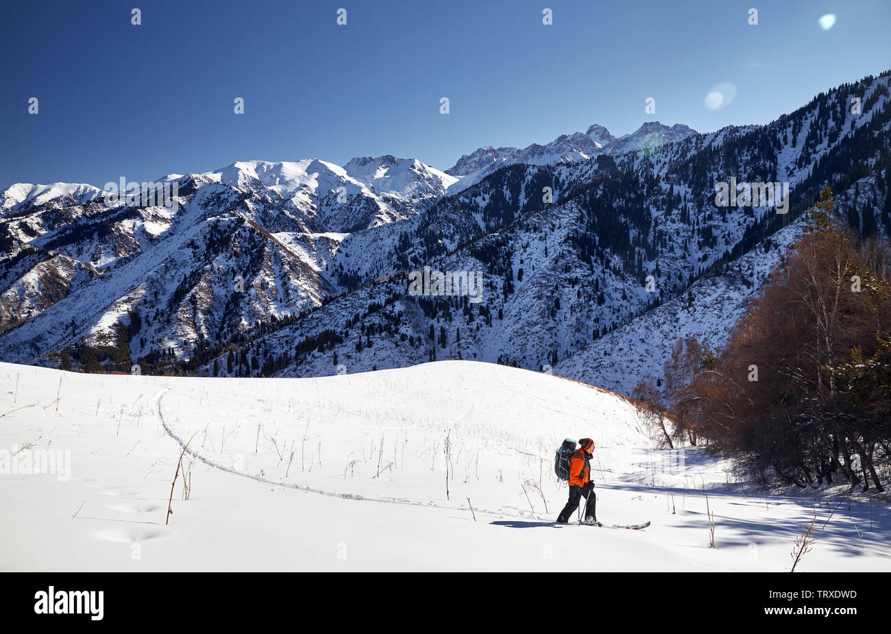 Man in orange jacket skiing on fresh powder snow in the mountains near Almaty, Kazakhstan Stock Photo