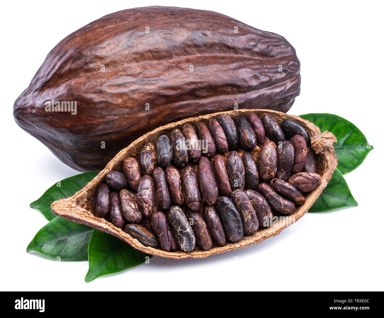 Cocoa pods and cocoa beans - chocolate basis isolated on a white background. Stock Photo
