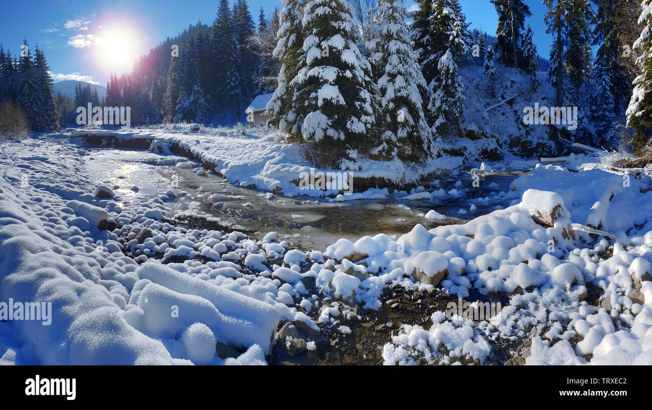 Beautiful winter landscape. Frozen river and green firs covered with ...