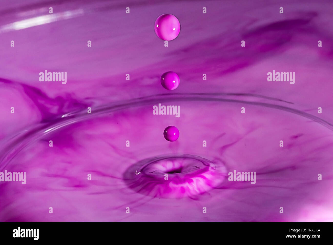 A Macro water droplets in crisp focus. timing of the shot created a ...