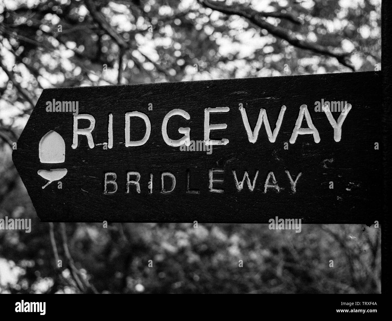 The Ridgeway Footpath Sign, Goring, Goring-on-Thames, Oxfordshire, England, UK, GB. Stock Photo