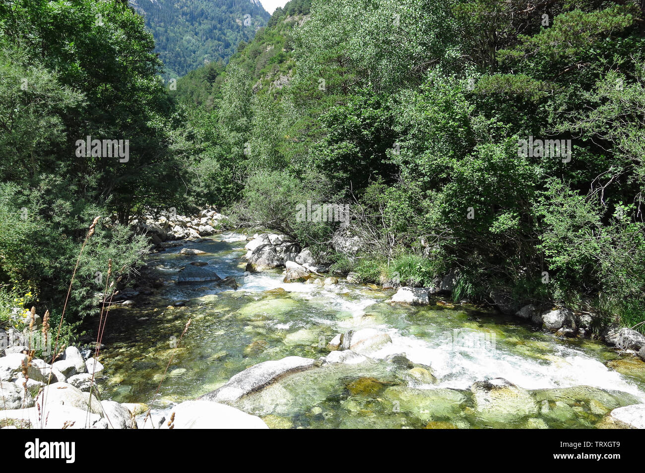 Sant Nicolau river inside the Aigüestortes National Park in the Catalan Pyrenees, Spain Stock Photo