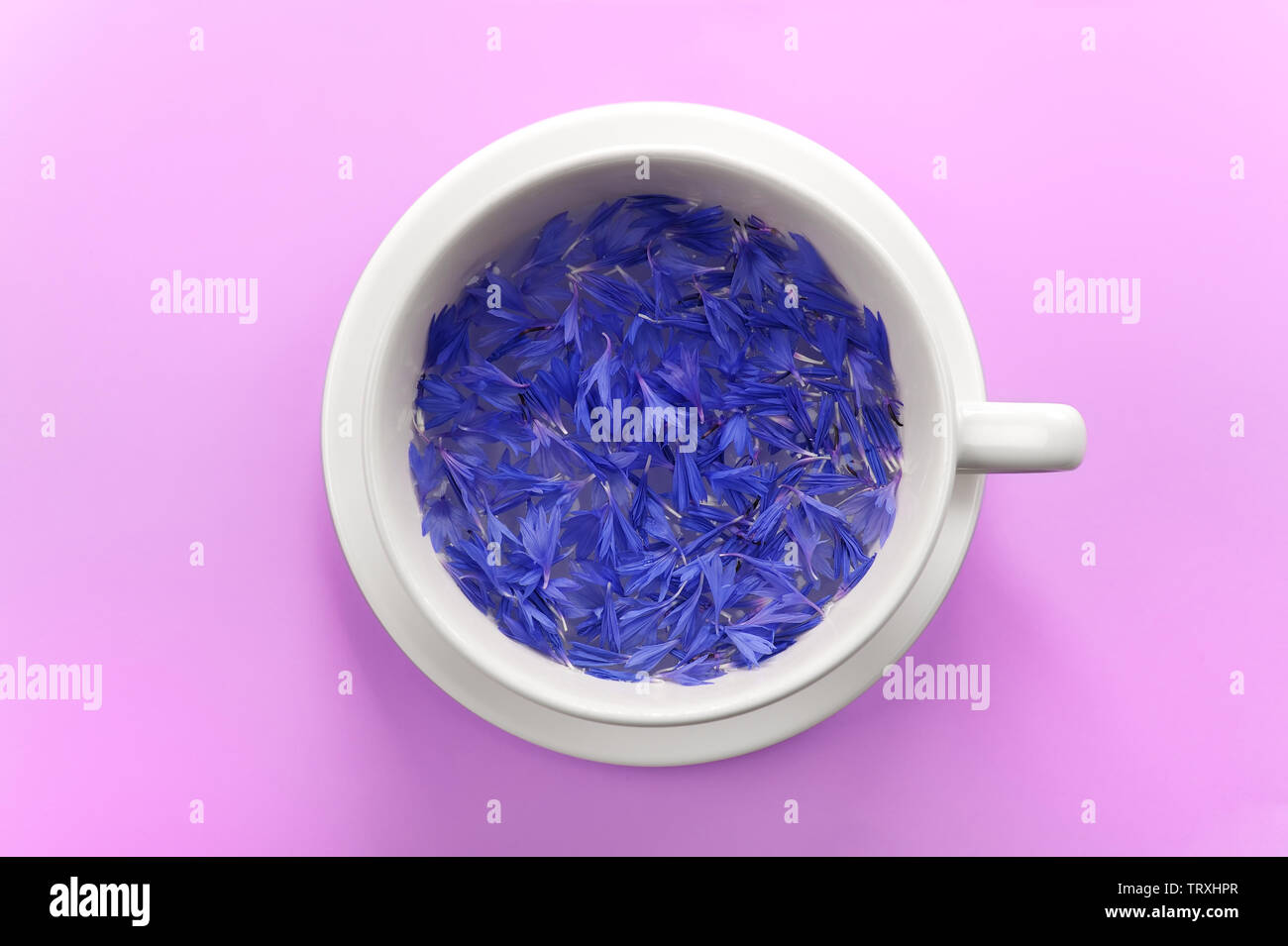 Creative layout made of cornflower petals floating in the water on  pink  background . Flat lay, concept. Abstract image for lettering, text or design Stock Photo