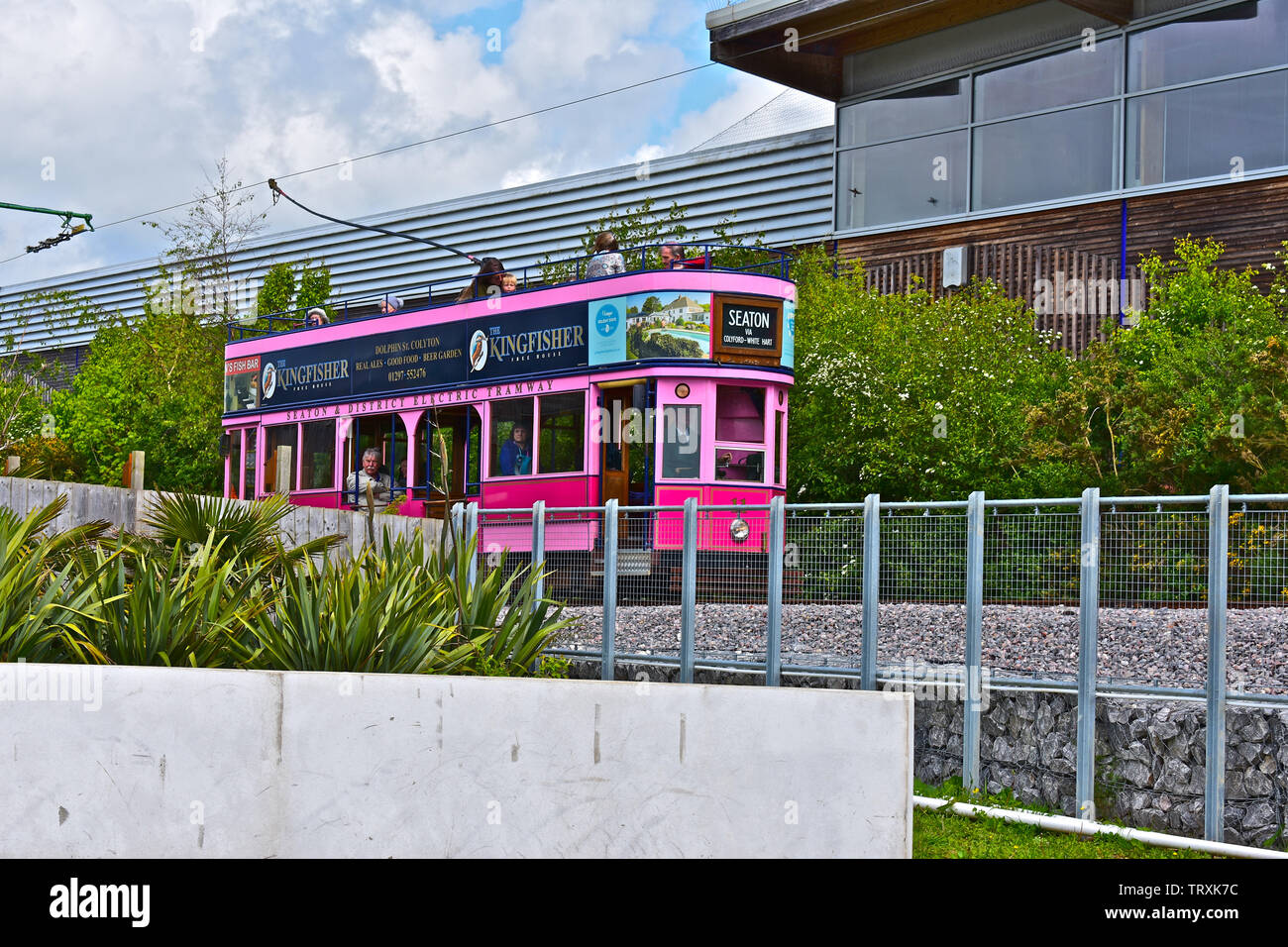 A pink tram approaches the new terminal building of the Seaton Electric Tramway,where vintage electric trams run to Colyton through the Axe valley. Stock Photo