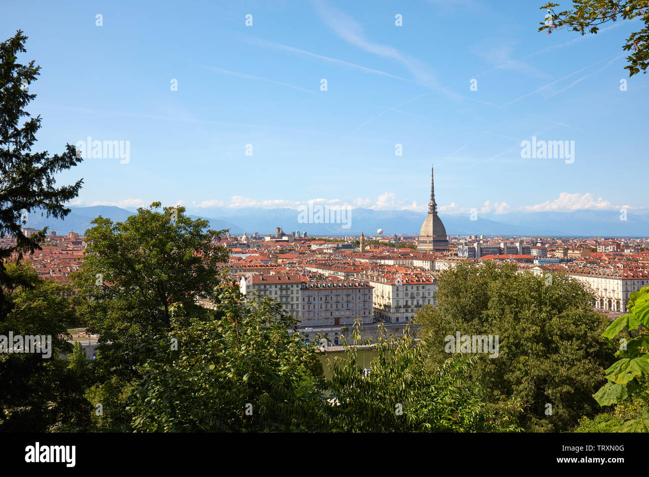 Turin skyline view and Mole Antonelliana tower seen from the hill with vegetation in a sunny summer day in Italy Stock Photo