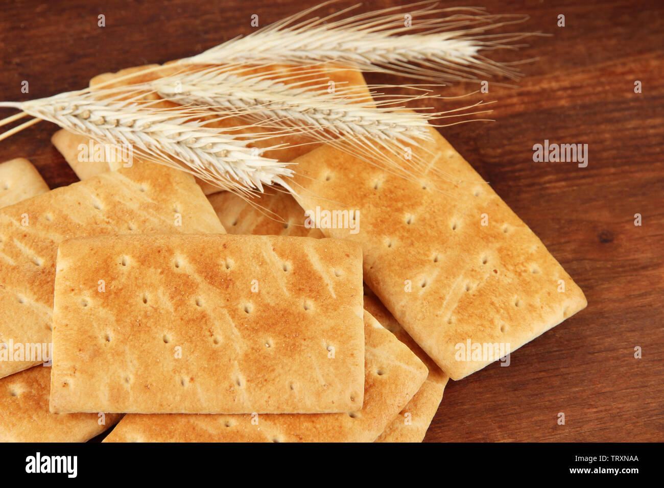 Rectangular Saltines Salty rectangular cracker hi-res stock photography and images - Alamy