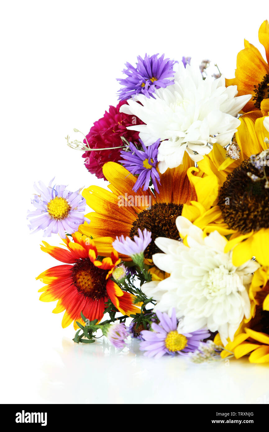 Bouquet of wild flowers isolated on white Stock Photo - Alamy