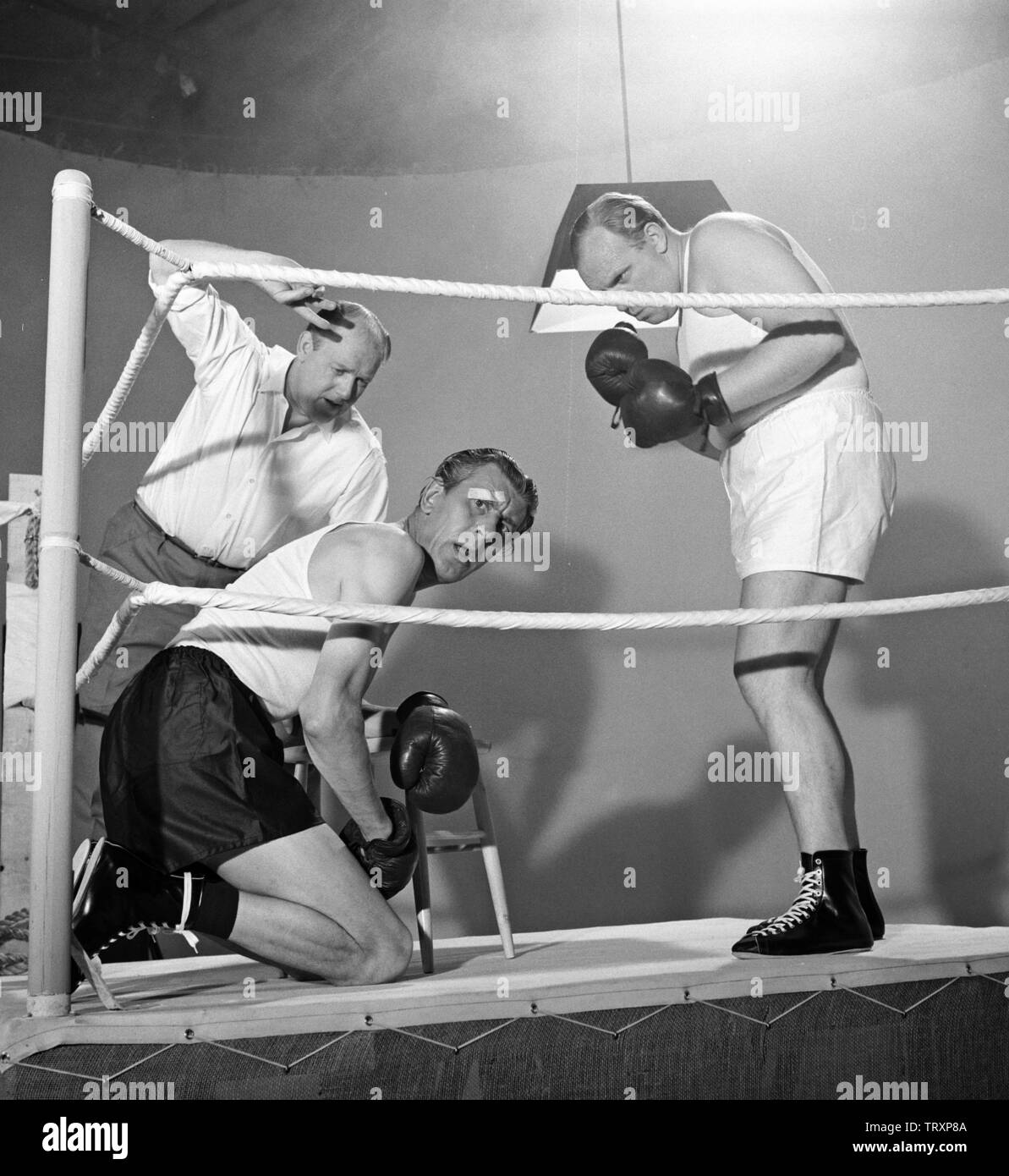 Down and counting. A boxer is knocked and is down on his knees with the referee standing beside him counting eight. His opponent is standing ready to punch him again if he stands up. Sweden 1960s Kristoffersson ref CU40-8 Stock Photo