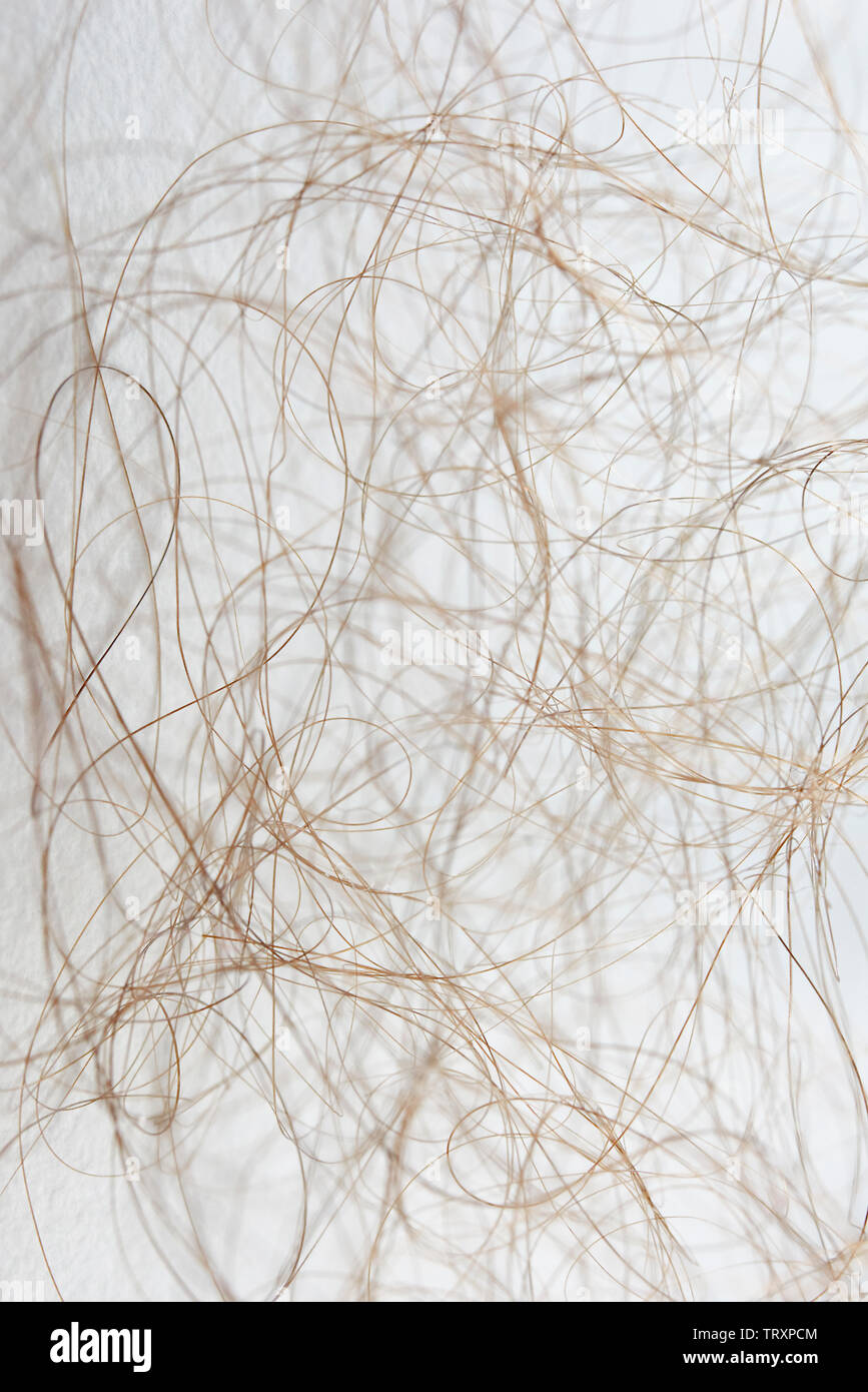 Strands of human hair on a white background Stock Photo