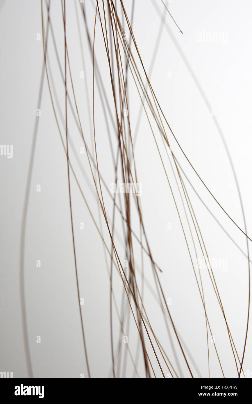 Hairs falling hires stock photography and images Alamy