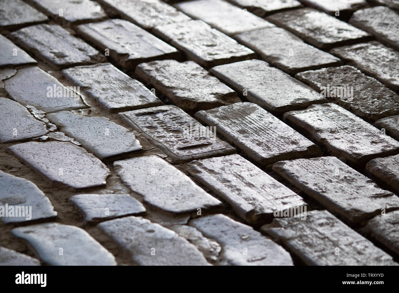 Paving bricks worn away by cattle in the historic Forth Worth Stockyards district Stock Photo