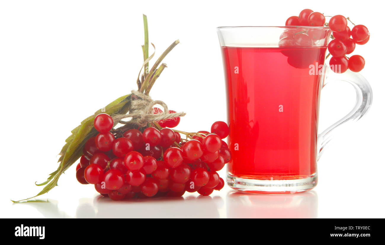 Red berries of viburnum and cup of tea isolated on white Stock Photo ...