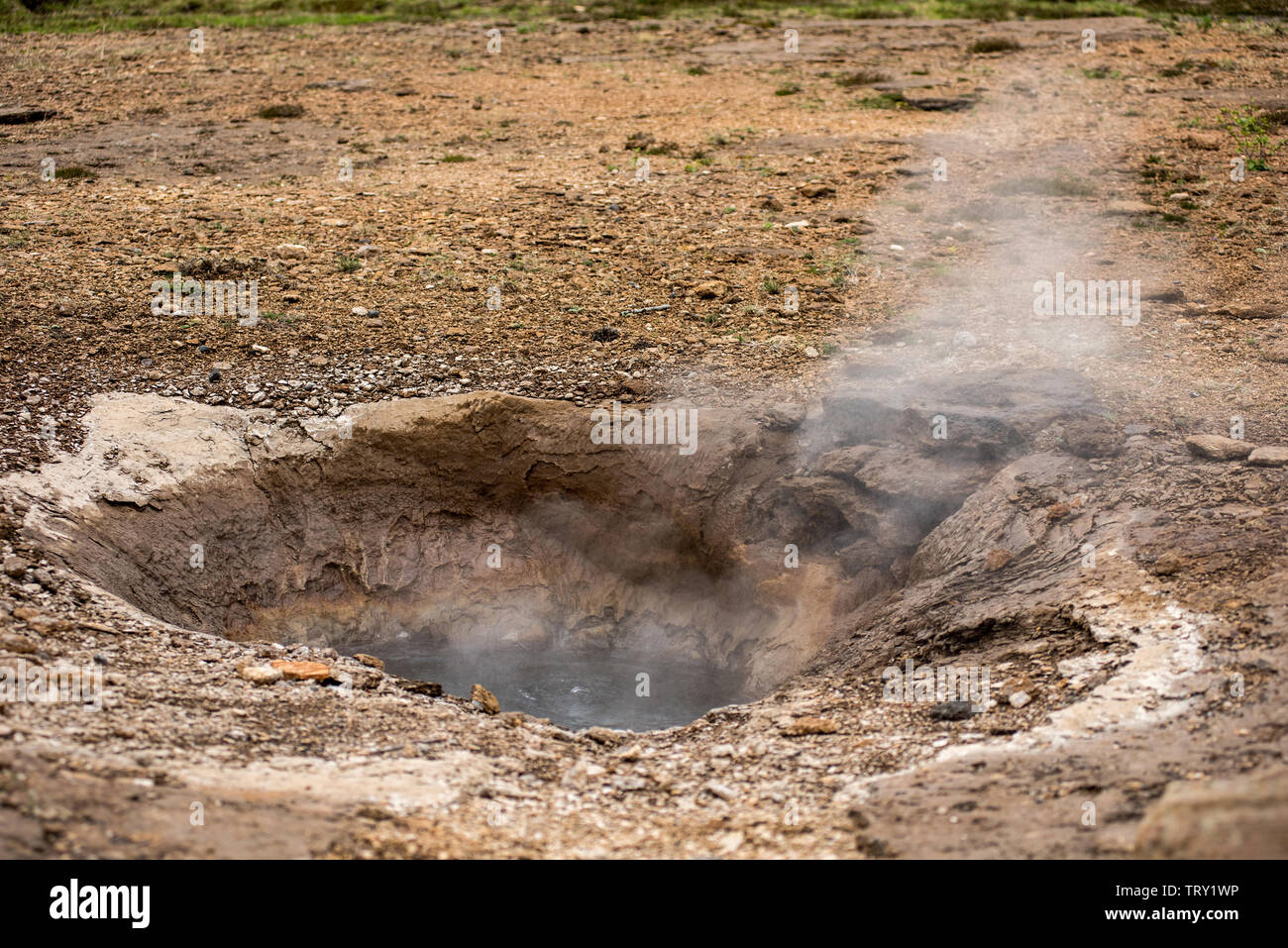 Geothermal active zone in Hveragerdi, Iceland with volcanic hot spring, fumarola Stock Photo