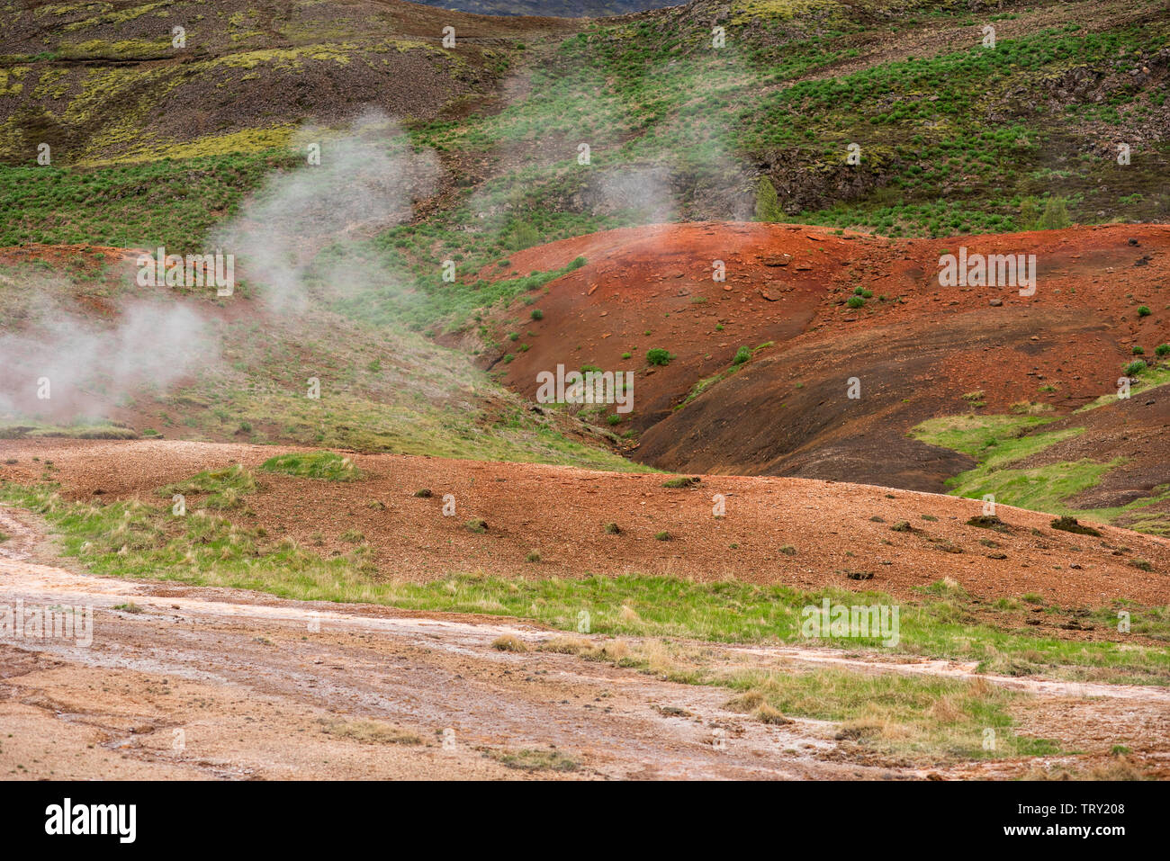 Geothermal active zone in Hveragerdi, Iceland with volcanic hot spring, fumarola Stock Photo