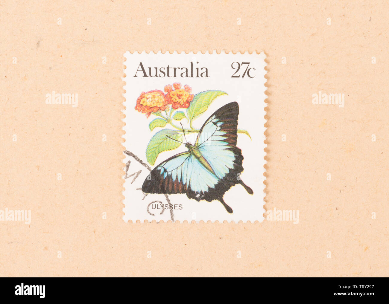 AUSTRALIA - CIRCA 1980: A stamp printed in Australia shows a butterfly, circa 1980 Stock Photo