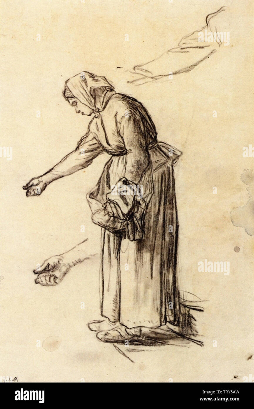 Woman feeding chickens hires stock photography and images Alamy