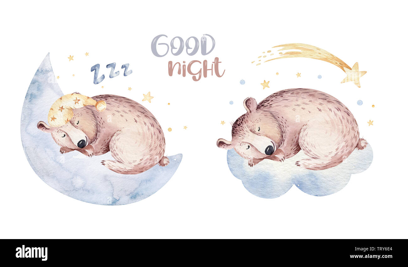 Cute dreaming cartoon bear animal hand drawn watercolor illustration ...