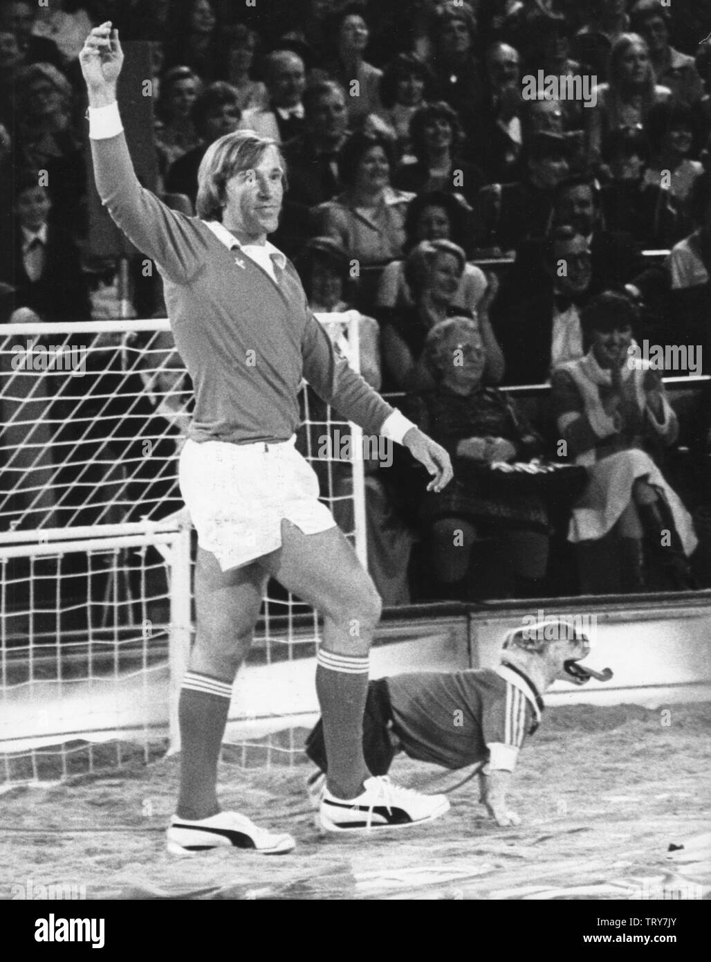 German professional footballer Günter Netzer on 10 December 1977 in the show 'Stars in der Manege' at the Circus Krone in Munich.  He was born on 14 September 1944 in Mönchengladbach. | usage worldwide Stock Photo