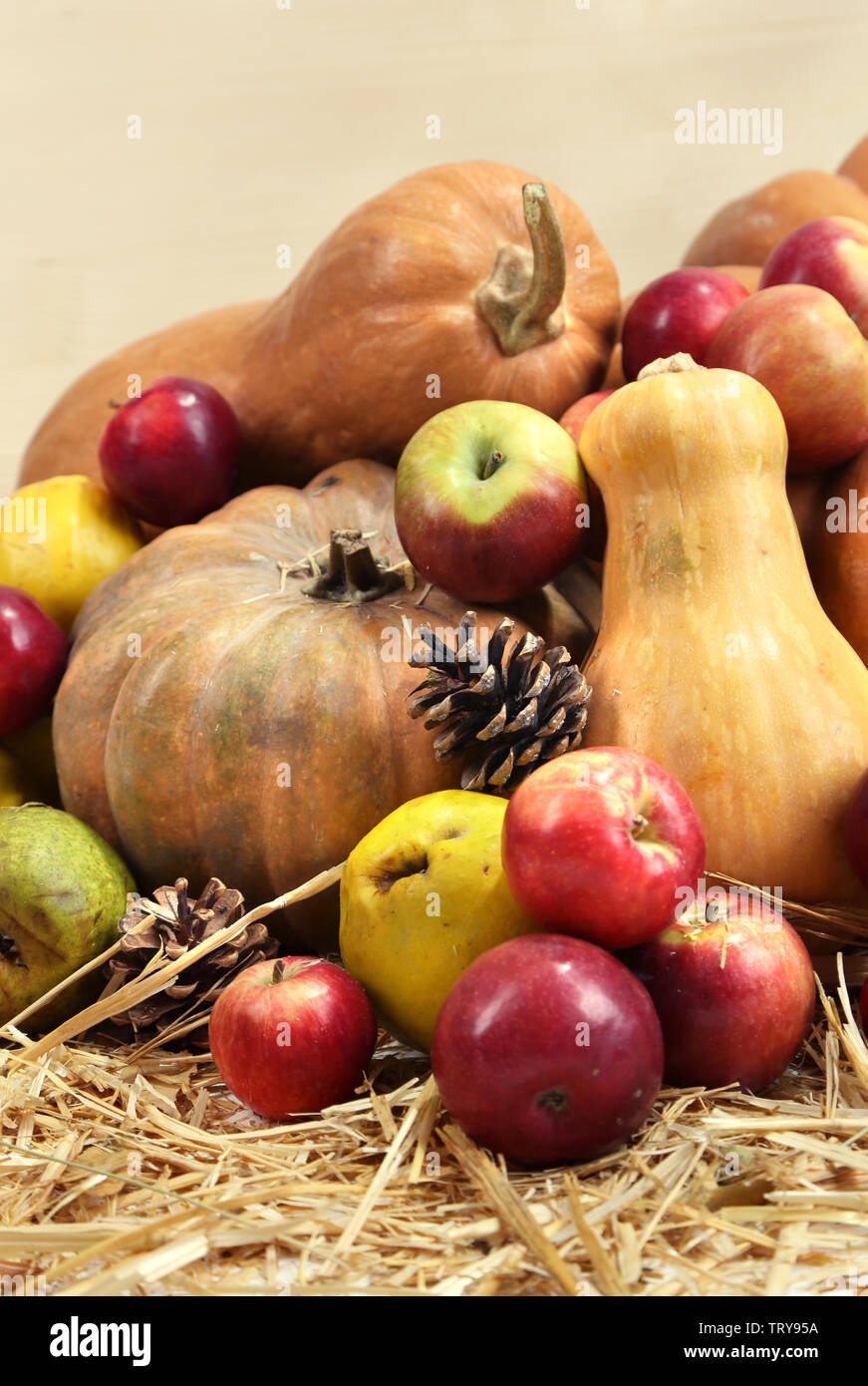Autumn composition of fruits and pumpkins on straw on wooden background ...
