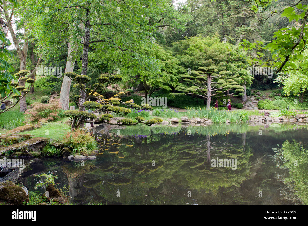 Parc Oriental de Maulevrier Stock Photo