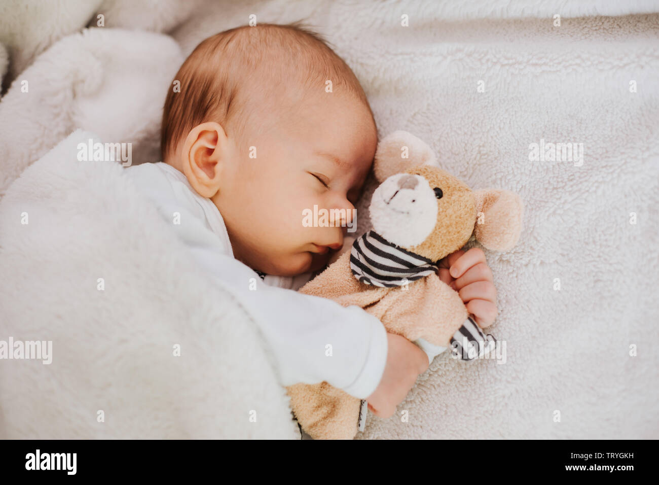 Babies stuffed animal hires stock photography and images Alamy