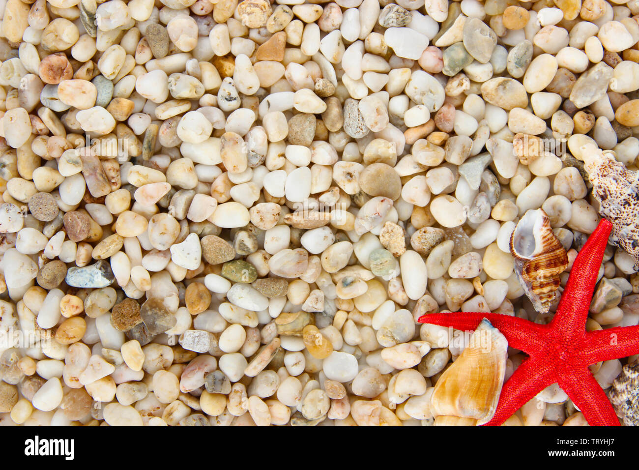 Ocean Rocks Small Small sea stones and shells, close up Stock Photo - Alamy